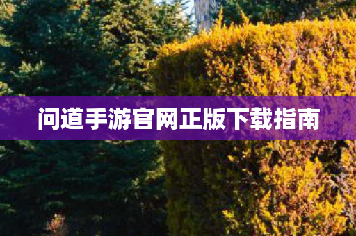 问道手游官网正版下载指南