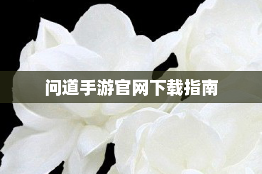问道手游官网下载指南 问道手游官网下载指南