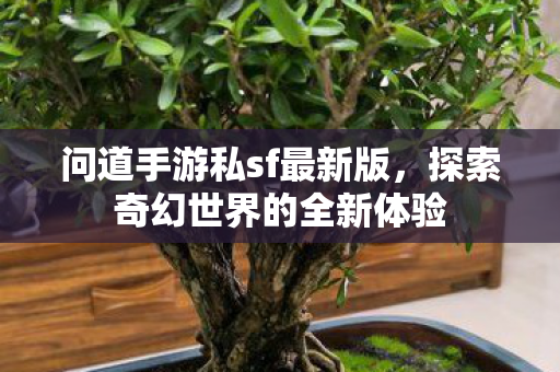问道手游私sf最新版,探索奇幻世界的全新体验 问道手游私sf最新版,探索奇幻世界的全新体验