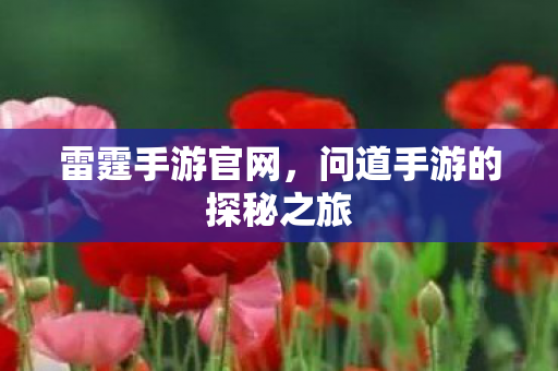 雷霆手游官网，问道手游的探秘之旅