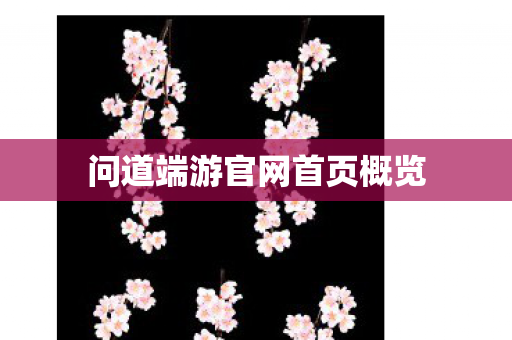 问道端游官网首页概览 问道端游官网首页概览