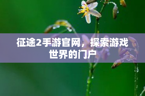 征途2手游官网,探索游戏世界的门户 征途2手游官网,探索游戏世界的门户