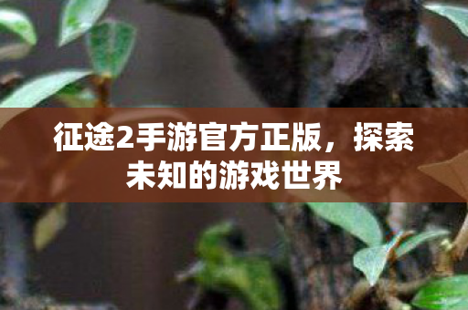 征途2手游官方正版,探索未知的游戏世界 征途2手游官方正版,探索未知的游戏世界