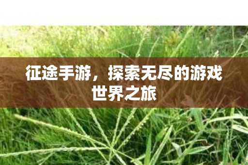 征途手游,探索无尽的游戏世界之旅 征途手游,探索无尽的游戏世界之旅
