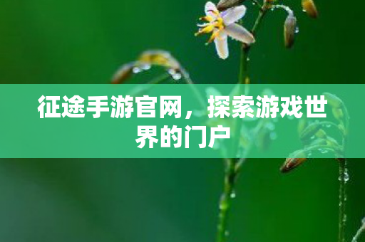 征途手游官网,探索游戏世界的门户 征途手游官网,探索游戏世界的门户