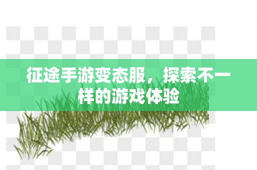 征途手游变态服,探索不一样的游戏体验 征途手游变态服,探索不一样的游戏体验