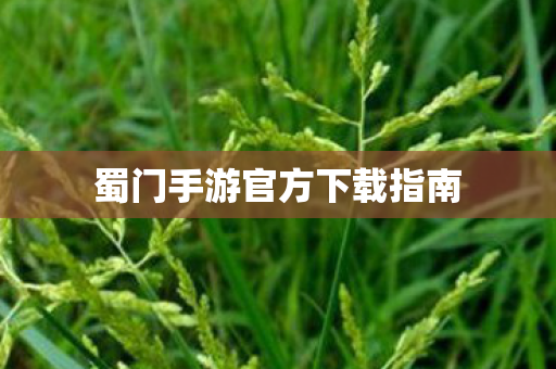 蜀门手游官方下载指南 蜀门手游官方下载指南
