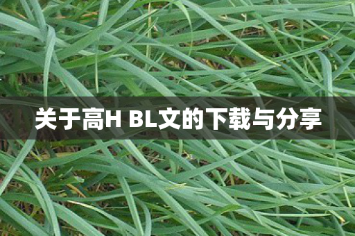 关于高H BL文的下载与分享 关于高H BL文的下载与分享