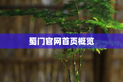 蜀门官网首页概览 蜀门官网首页概览