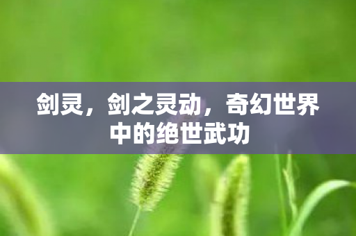 剑灵,剑之灵动,奇幻世界中的绝世武功 剑灵,剑之灵动,奇幻世界中的绝世武功