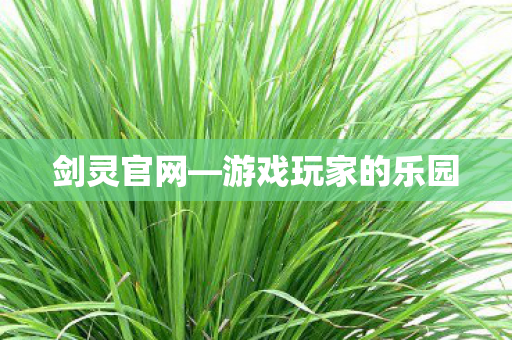 剑灵官网—游戏玩家的乐园 剑灵官网—游戏玩家的乐园