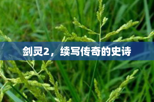 剑灵2，续写传奇的史诗