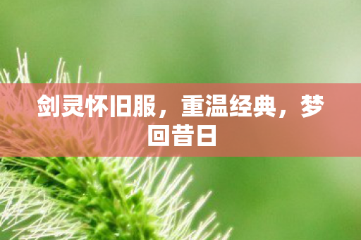 剑灵怀旧服,重温经典,梦回昔日 剑灵怀旧服,重温经典,梦回昔日