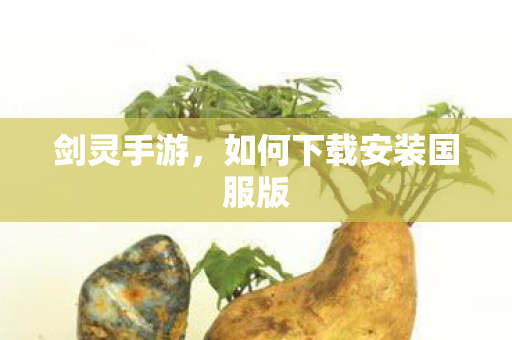 剑灵手游,如何下载安装国服版 剑灵手游,如何下载安装国服版