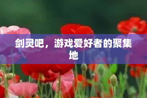 剑灵吧,游戏爱好者的聚集地 剑灵吧,游戏爱好者的聚集地