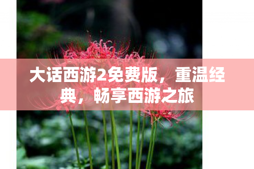 大话西游2免费版，重温经典，畅享西游之旅
