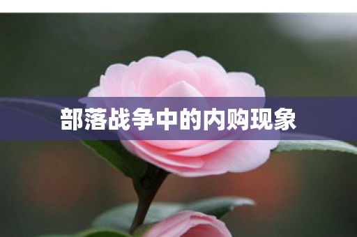 部落战争中的内购现象 部落战争中的内购现象