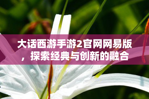 大话西游手游2官网网易版，探索经典与创新的融合