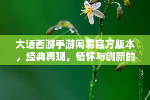 大话西游手游网易官方版本,经典再现,情怀与创新的完美结合 大话西游手游网易官方版本,经典再现,情怀与创新的完美结合