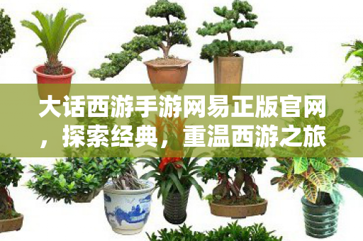 大话西游手游网易正版官网，探索经典，重温西游之旅