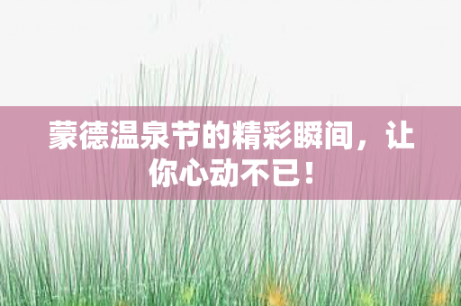 蒙德温泉节的精彩瞬间,让你心动不已! 蒙德温泉节的精彩瞬间,让你心动不已!