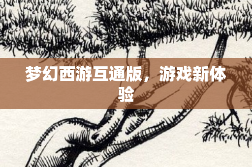梦幻西游互通版,游戏新体验 梦幻西游互通版,游戏新体验