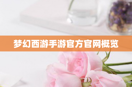 梦幻西游手游官方官网概览 梦幻西游手游官方官网概览