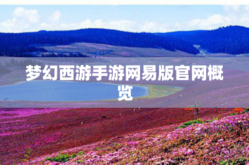 梦幻西游手游网易版官网概览 梦幻西游手游网易版官网概览
