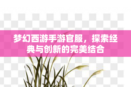 梦幻西游手游官服，探索经典与创新的完美结合