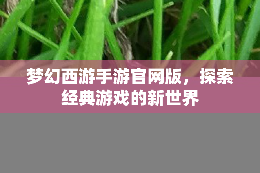 梦幻西游手游官网版,探索经典游戏的新世界 梦幻西游手游官网版,探索经典游戏的新世界