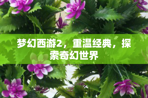 梦幻西游2,重温经典,探索奇幻世界 梦幻西游2,重温经典,探索奇幻世界