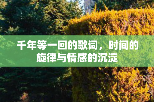 千年等一回的歌词,时间的旋律与情感的沉淀 千年等一回的歌词,时间的旋律与情感的沉淀