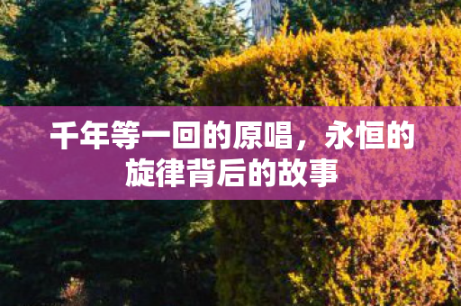 千年等一回的原唱,永恒的旋律背后的故事 千年等一回的原唱,永恒的旋律背后的故事