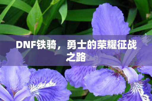 DNF铁骑，勇士的荣耀征战之路