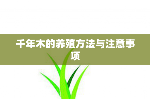 千年木的养殖方法与注意事项 千年木的养殖方法与注意事项