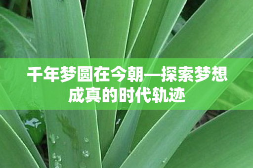 千年梦圆在今朝—探索梦想成真的时代轨迹 千年梦圆在今朝—探索梦想成真的时代轨迹