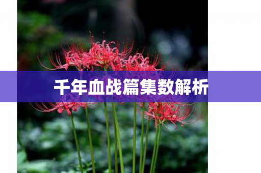 千年血战篇集数解析 千年血战篇集数解析