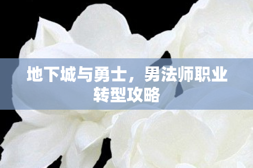 地下城与勇士,男法师职业转型攻略 地下城与勇士,男法师职业转型攻略