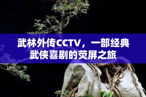 武林外传CCTV,一部经典武侠喜剧的荧屏之旅 武林外传CCTV,一部经典武侠喜剧的荧屏之旅