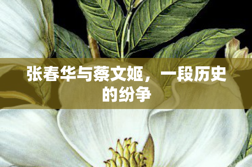 张春华与蔡文姬，一段历史的纷争