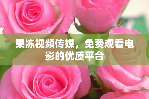 果冻视频传媒,免费观看电影的优质平台 果冻视频传媒,免费观看电影的优质平台
