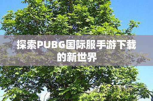 探索PUBG国际服手游下载的新世界 探索PUBG国际服手游下载的新世界