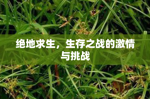 绝地求生,生存之战的激情与挑战 绝地求生,生存之战的激情与挑战