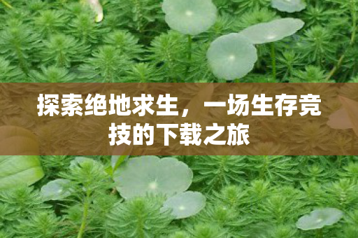 探索绝地求生,一场生存竞技的下载之旅 探索绝地求生,一场生存竞技的下载之旅