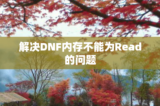 解决DNF内存不能为Read的问题 解决DNF内存不能为Read的问题