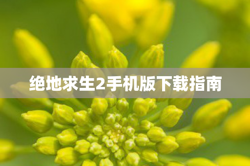绝地求生2手机版下载指南 绝地求生2手机版下载指南