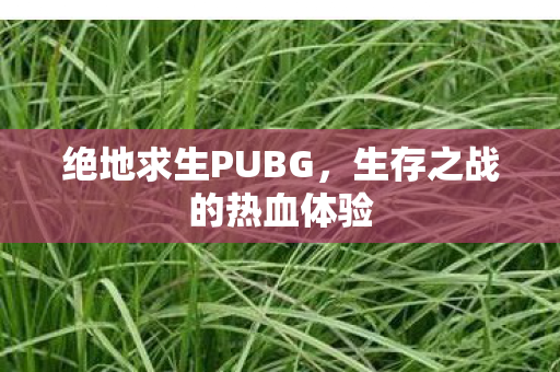 绝地求生PUBG,生存之战的热血体验 绝地求生PUBG,生存之战的热血体验