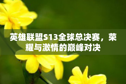 英雄联盟S13全球总决赛,荣耀与激情的巅峰对决 英雄联盟S13全球总决赛,荣耀与激情的巅峰对决