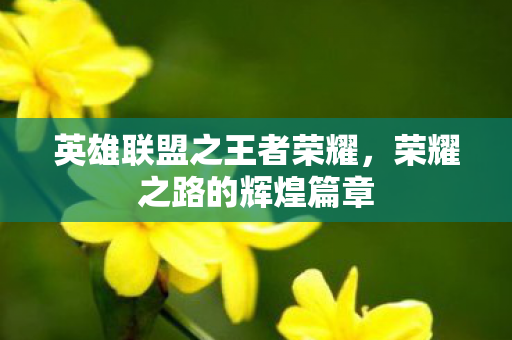 英雄联盟之王者荣耀,荣耀之路的辉煌篇章 英雄联盟之王者荣耀,荣耀之路的辉煌篇章