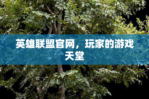 英雄联盟官网,玩家的游戏天堂 英雄联盟官网,玩家的游戏天堂